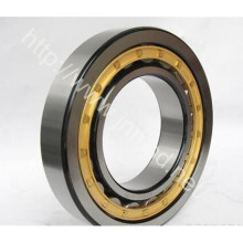 Rolling Bearing, Good Quality, Cylindrical Roller Bearing (RNU218)